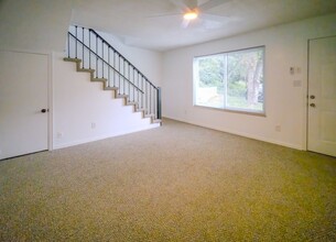 5736 Woodleaf Dr in Knoxville, TN - Building Photo - Building Photo