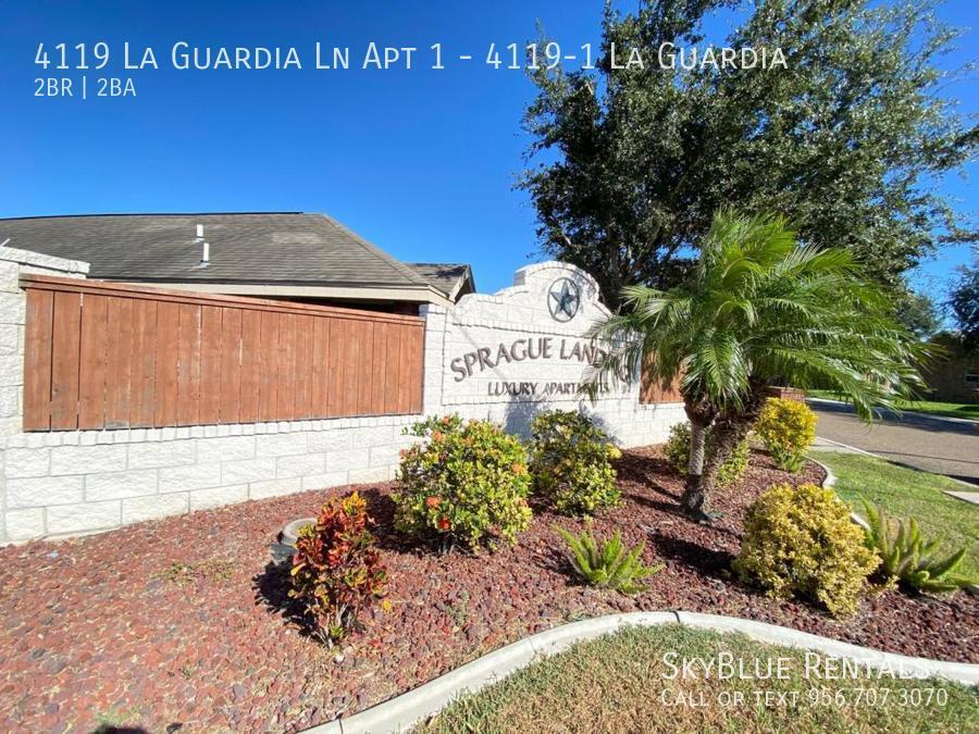 4119 W La Guardia Ln in Edinburg, TX - Building Photo