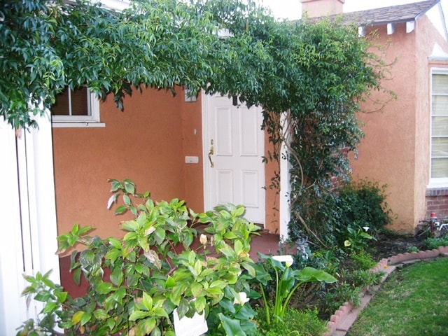 2581 Amherst Ave in Los Angeles, CA - Building Photo - Building Photo