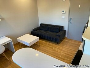 115 Mt Auburn St in Cambridge, MA - Building Photo - Building Photo
