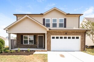 2805 Painted Pony Dr in Murfreesboro, TN - Building Photo