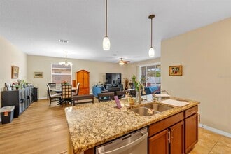 12313 Eagle Swoop Pl in Riverview, FL - Building Photo - Building Photo