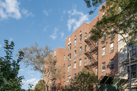 960 Sterling Place in Brooklyn, NY - Building Photo - Building Photo