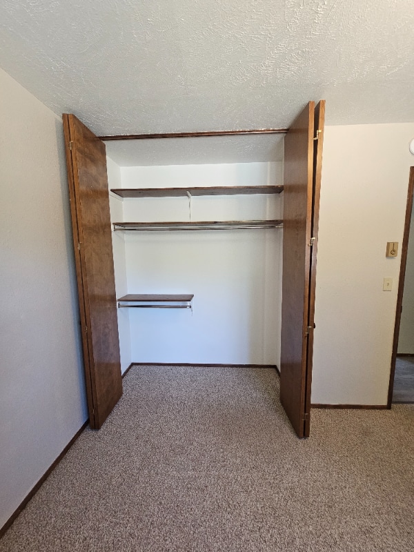 property at 203 W Larch St