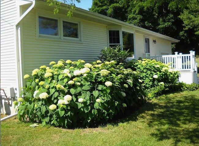 property at 4198 Howlett Hill Rd
