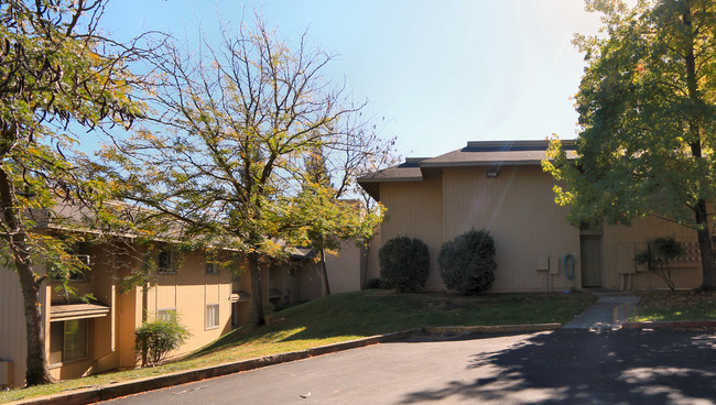 Tunnel Street Senior Apartments in Placerville, CA - Building Photo - Building Photo