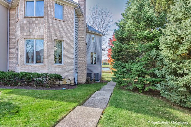 293 Joshua Dr in Hawthorn Woods, IL - Foto de edificio - Building Photo