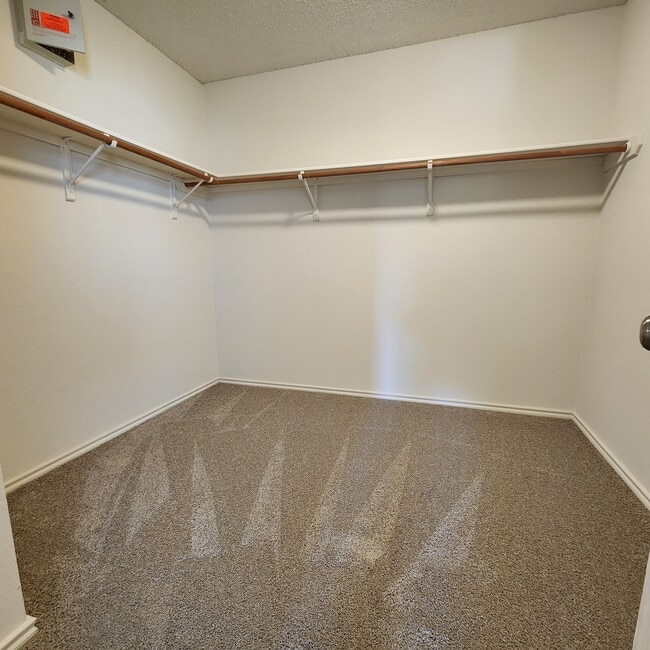 1803 Killians Cove in Cedar Park, TX - Building Photo - Building Photo