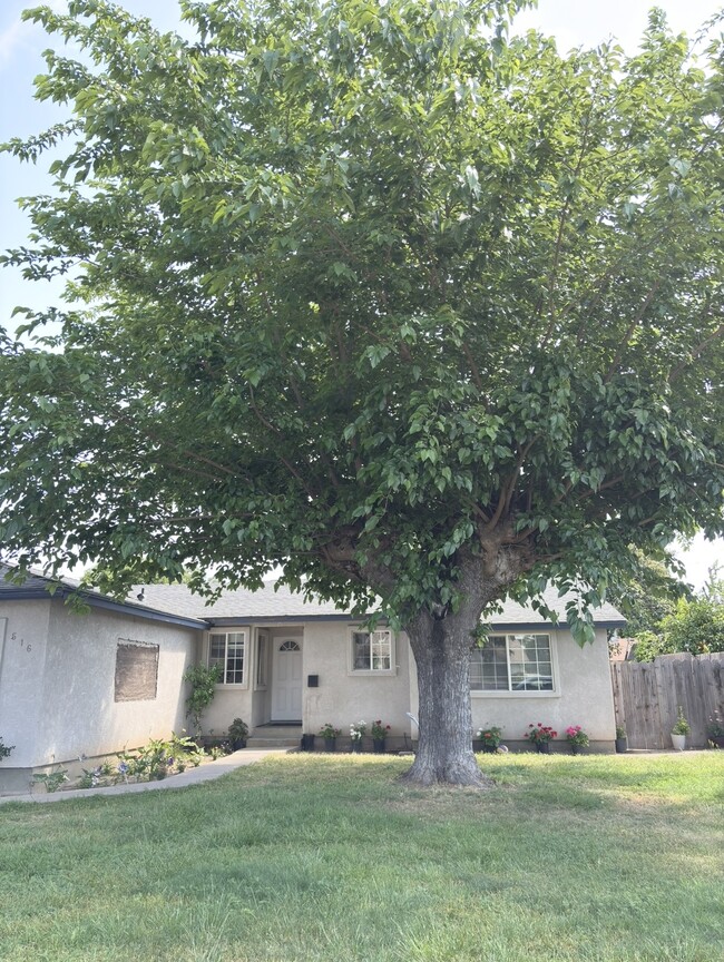 516 Ribier Ave in Modesto, CA - Foto de edificio - Building Photo
