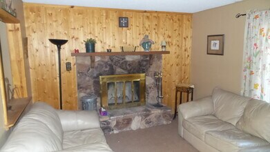 233 E Starr Dr in Big Bear, CA - Building Photo - Building Photo