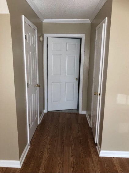 1810 Stafford Cove in Oxford, MS - Building Photo