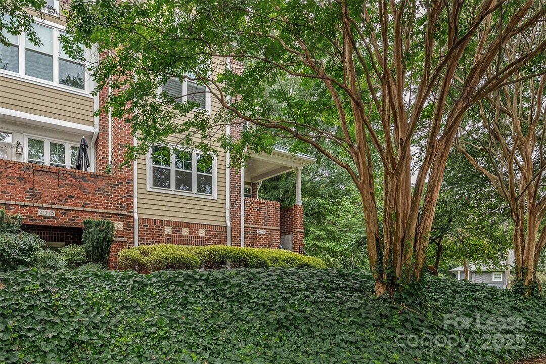 223 S Torrence St in Charlotte, NC - Building Photo