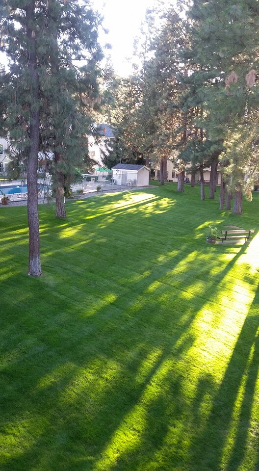 Forest Park Apartments in Spokane, WA - Foto de edificio - Building Photo