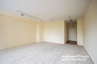 3100 N Lake Shore Dr-Unit -510 in Chicago, IL - Building Photo - Building Photo