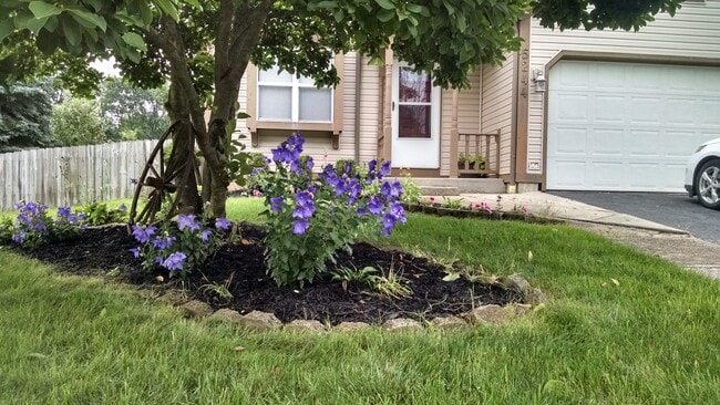 property at 5244 Wagon Wheel Ln