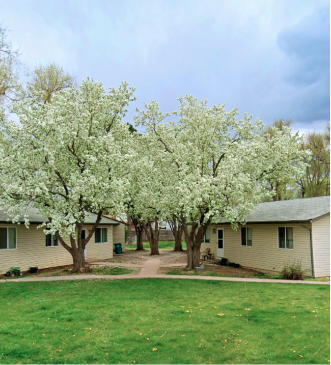 property at 1321 Cherry St