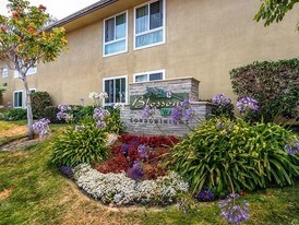6333 Mt Ada Rd