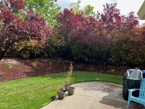 7311 Briza Loop in San Ramon, CA - Building Photo - Building Photo