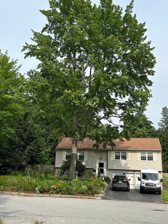 7 Yandow Dr in South Burlington, VT - Building Photo