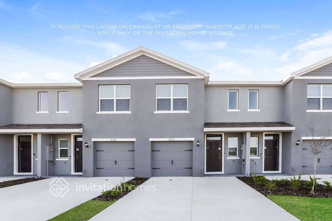 31174 Striped Maple Ln in Wesley Chapel, FL - Building Photo