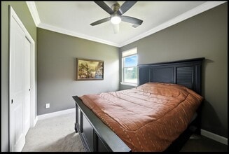 25218 Lockspur Dr, Unit WholeHome in Richmond, TX - Building Photo - Building Photo