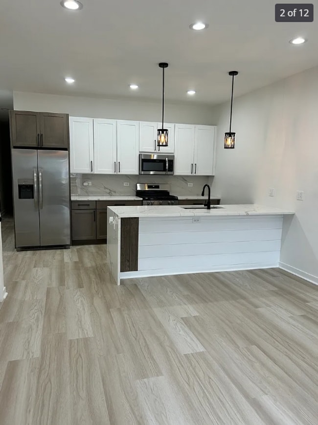 1058 N Central Park Ave in Chicago, IL - Building Photo - Building Photo