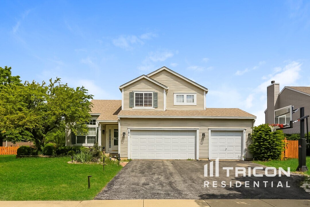 101 Iris Ct in Oswego, IL - Building Photo