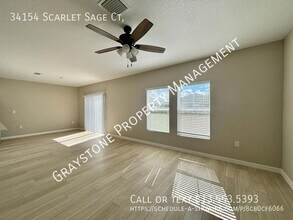34154 Scarlet Sage Ct in Wesley Chapel, FL - Building Photo - Building Photo