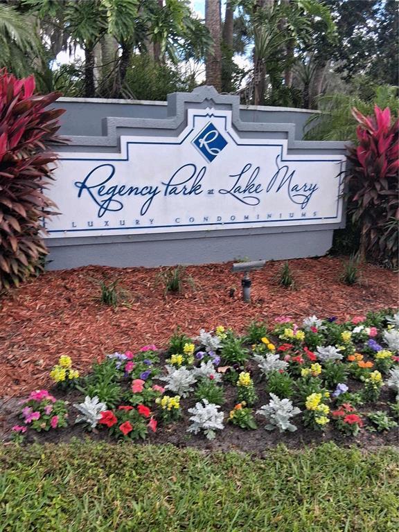 2561 Grassy Point Dr in Lake Mary, FL - Building Photo - Building Photo