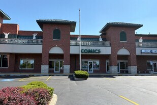 16649 Oak Park Ave in Tinley Park, IL - Building Photo