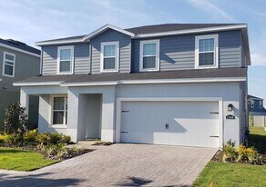 11608 Cleyera Ct in Riverview, FL - Building Photo