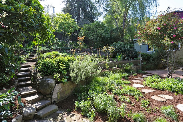 719 Jean St in Oakland, CA - Building Photo - Building Photo