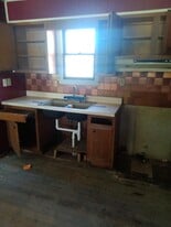 313 S Dye St in Virden, IL - Building Photo