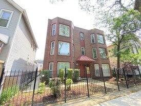 919 S Carpenter St in Chicago, IL - Building Photo