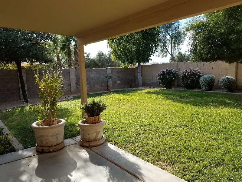 16910 N 158th Ave in Surprise, AZ - Building Photo