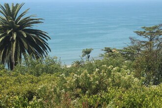 321 N Las Casas Ave in Pacific Palisades, CA - Building Photo - Building Photo