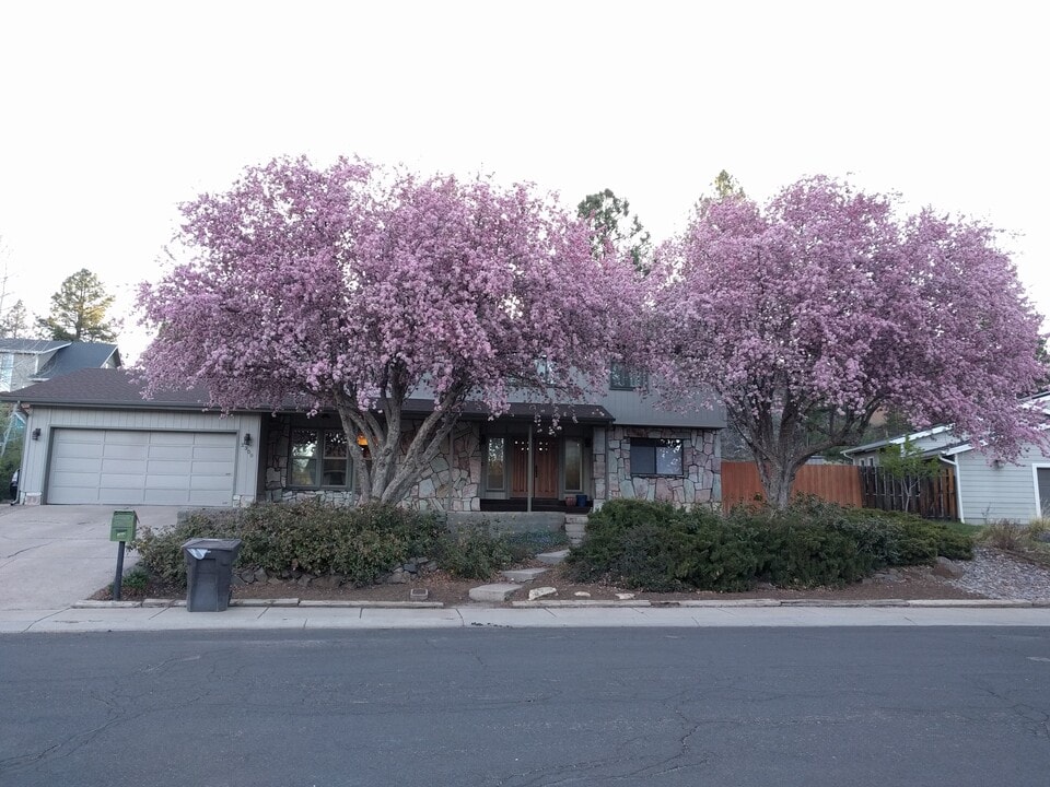 1309 N Aztec St in Flagstaff, AZ - Building Photo