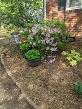 114 Wythe Cir in Raleigh, NC - Foto de edificio - Building Photo