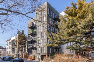 The Farra in Brooklyn, NY - Building Photo