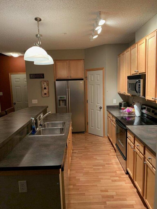 11775 Vermillion St NE in Blaine, MN - Building Photo - Building Photo