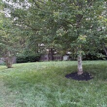 2604 Quincy Adams Dr in Herndon, VA - Building Photo - Building Photo