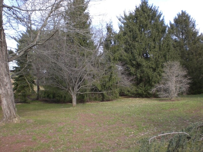 1133 Old York Rd, Unit Apt. 4 in Ringoes, NJ - Building Photo - Building Photo