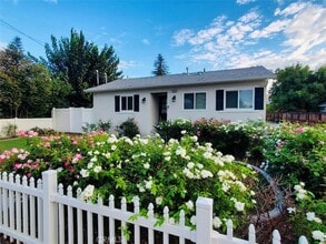 25461 Cole St, Unit Private in Loma Linda, CA - Building Photo - Building Photo