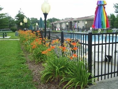 Continental Apartments in Tullahoma, TN - Building Photo