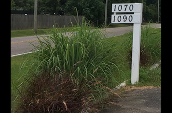 1070 Leroy Stevens Rd, Unit 1070C Standard Suite in Mobile, AL - Foto de edificio - Building Photo