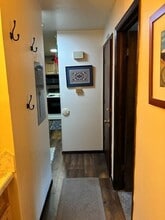 953 Straight Creek Dr in Dillon, CO - Building Photo - Building Photo