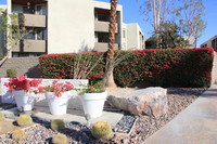 Mojave Blue in Palm Springs, CA - Foto de edificio - Building Photo