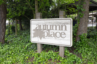 Autumn Place Condos in Seattle, WA - Building Photo - Building Photo