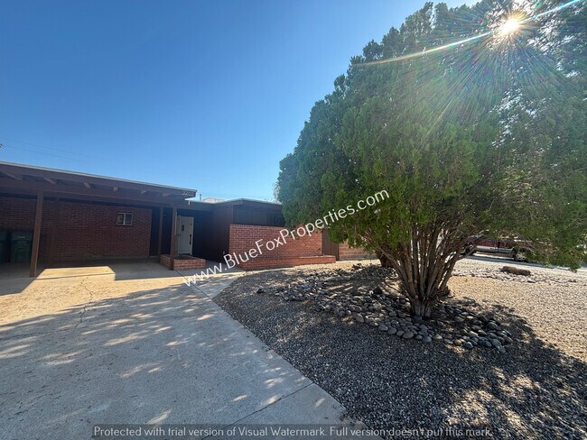 property at 3202 W Calle Fresa