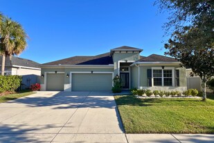 17563 Buckingham Garden Dr in Fish Hawk, FL - Building Photo